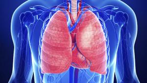 About Lung and Upper Aerodigestive Cancers